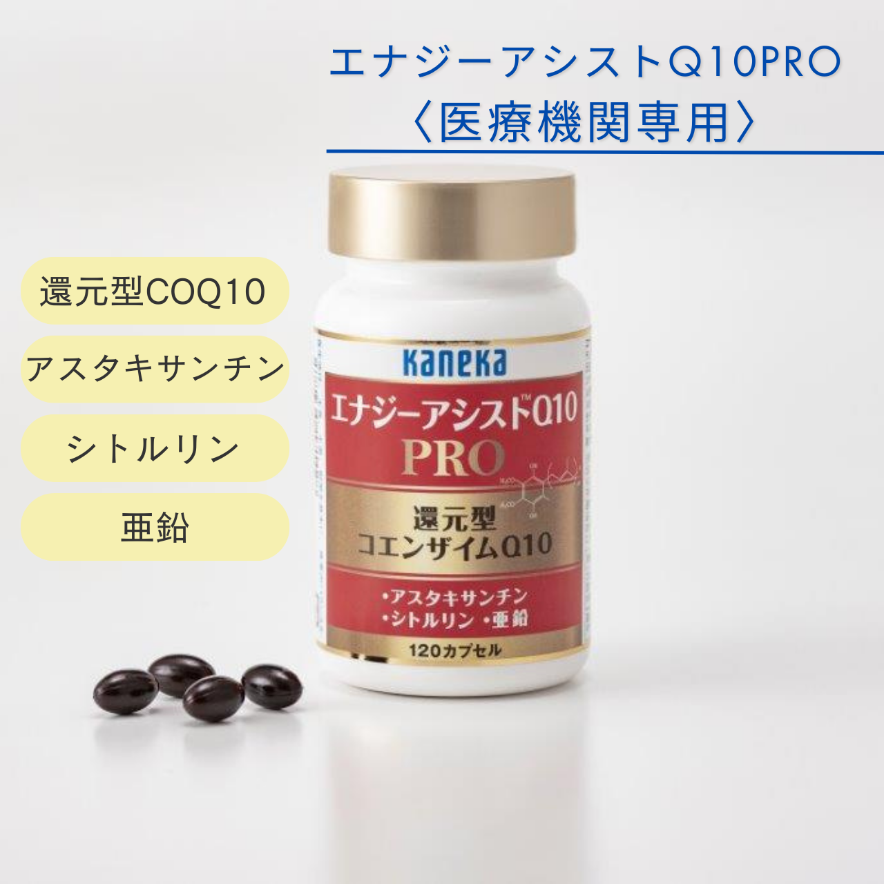 エナジーアシストQ10PRO