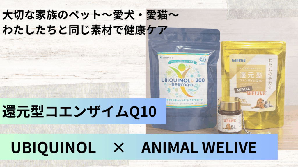 大切な家族と、同じ目線の健康ケア～愛犬・愛猫と同じ素材でコンディショニング～
