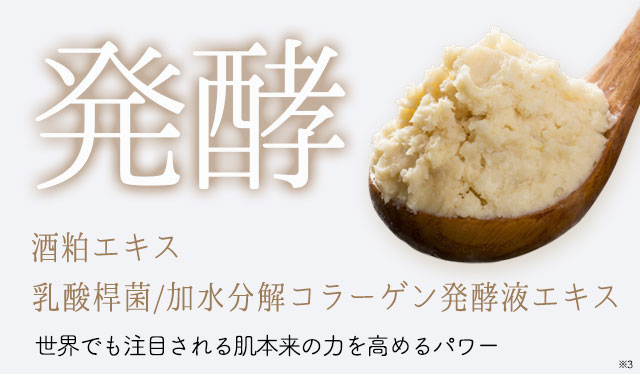 世界でも注目されている《発酵※3美容》