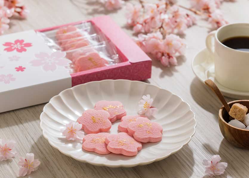 さくらショコラ