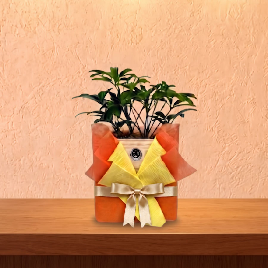 ラッピングのイメージ