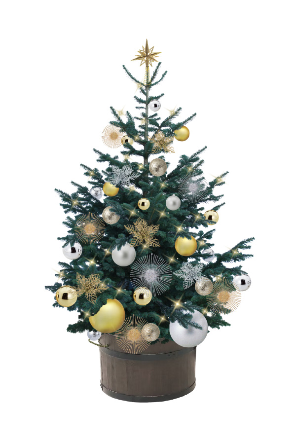 アルプスモミノキセット|設置引下料込み