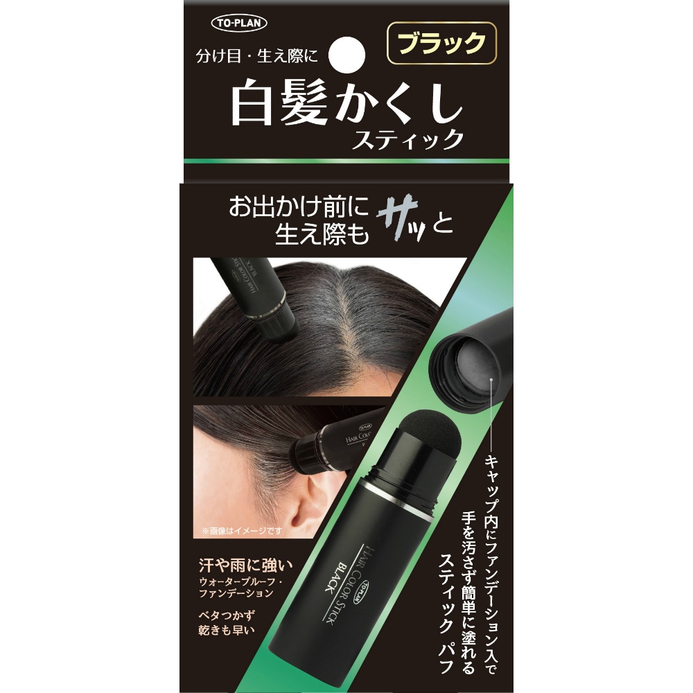 白髪かくしスティックブラック