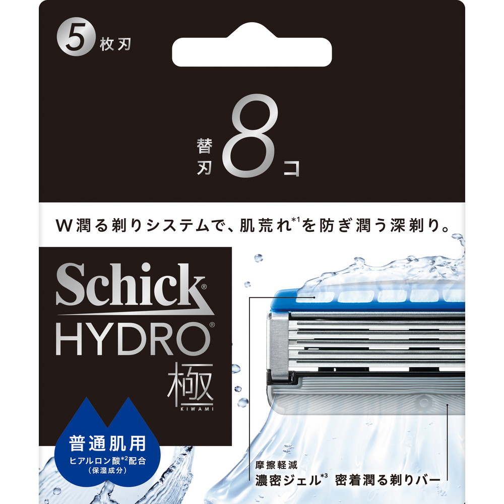 シック　ハイドロ極　普通肌　替刃