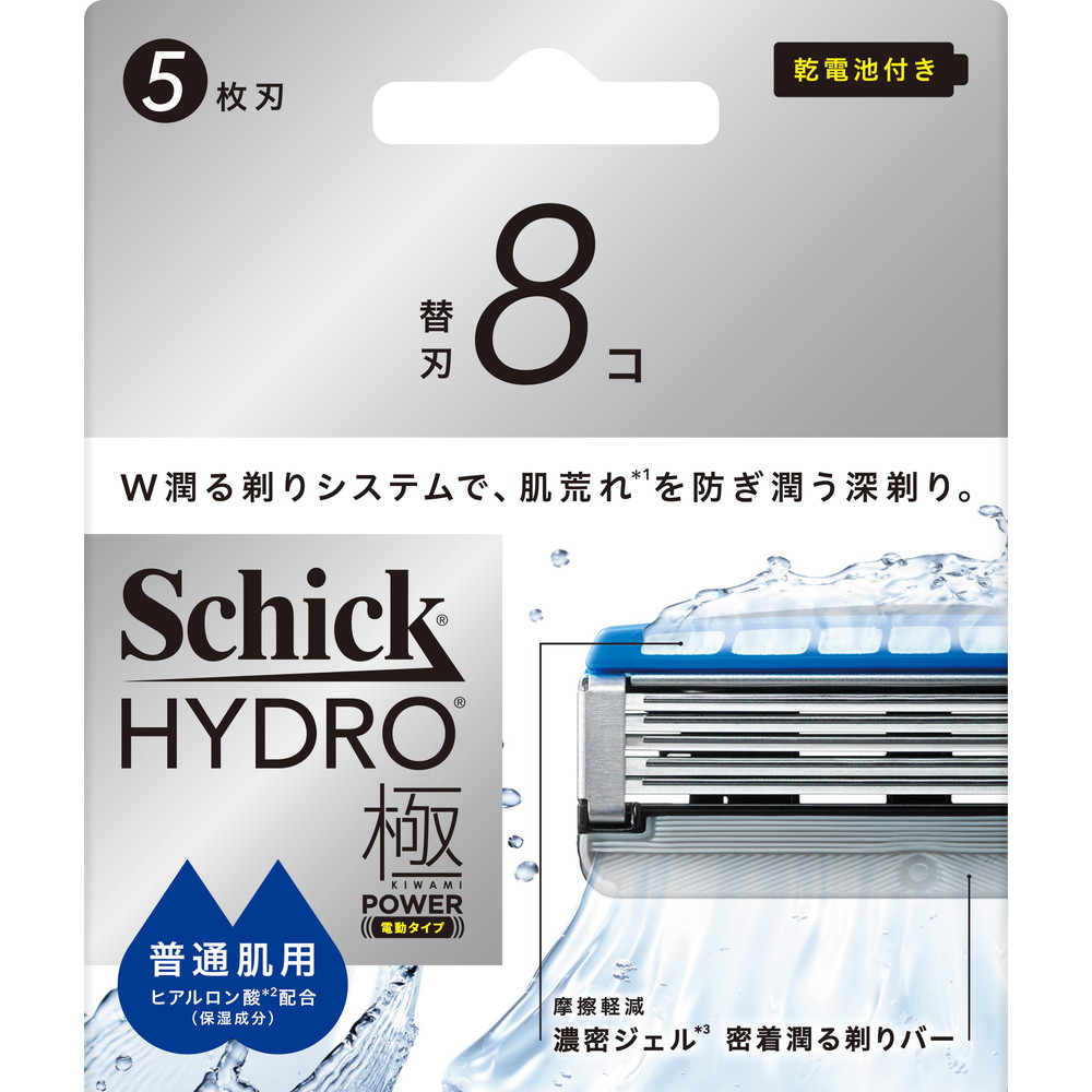 シック　ハイドロ極パワー　普通肌　替刃