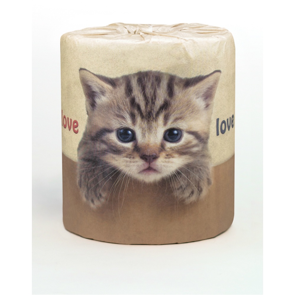 やっぱり猫が好き