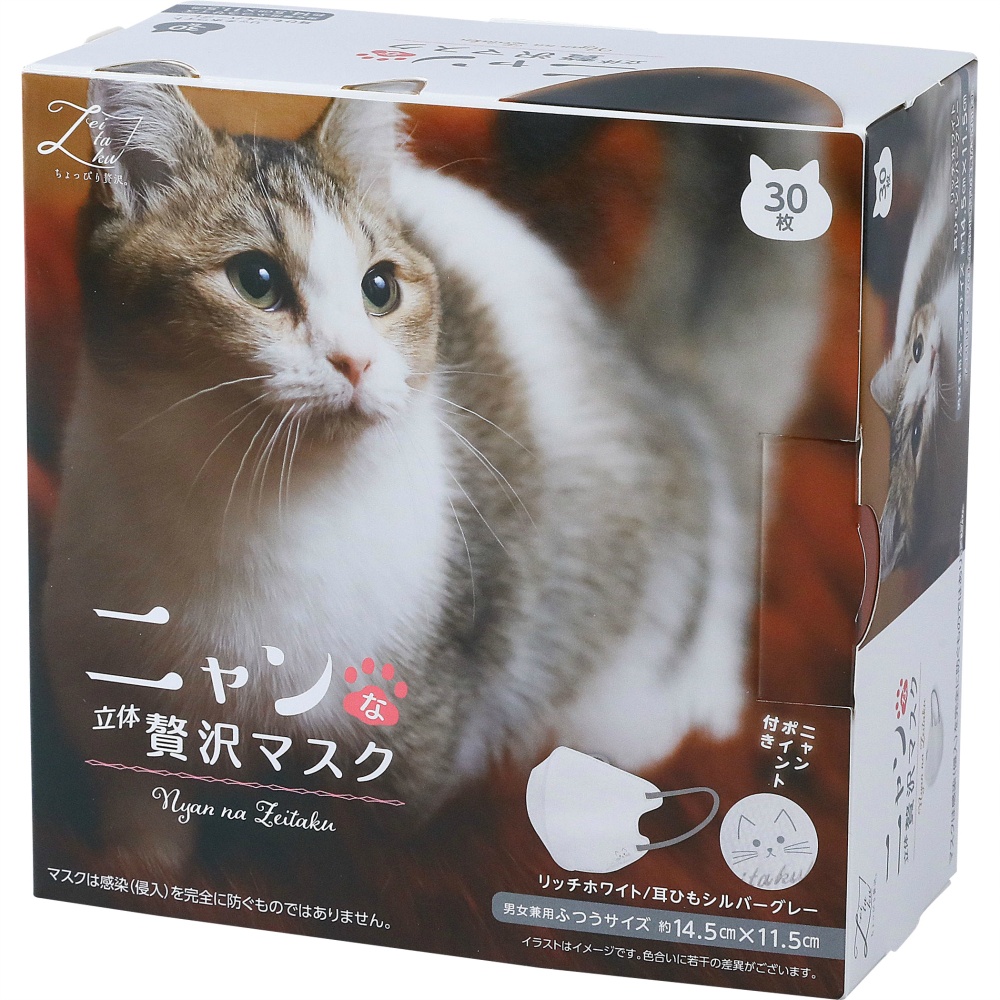 ニャンな立体ゼイ沢マスクふつう　マンチカン
