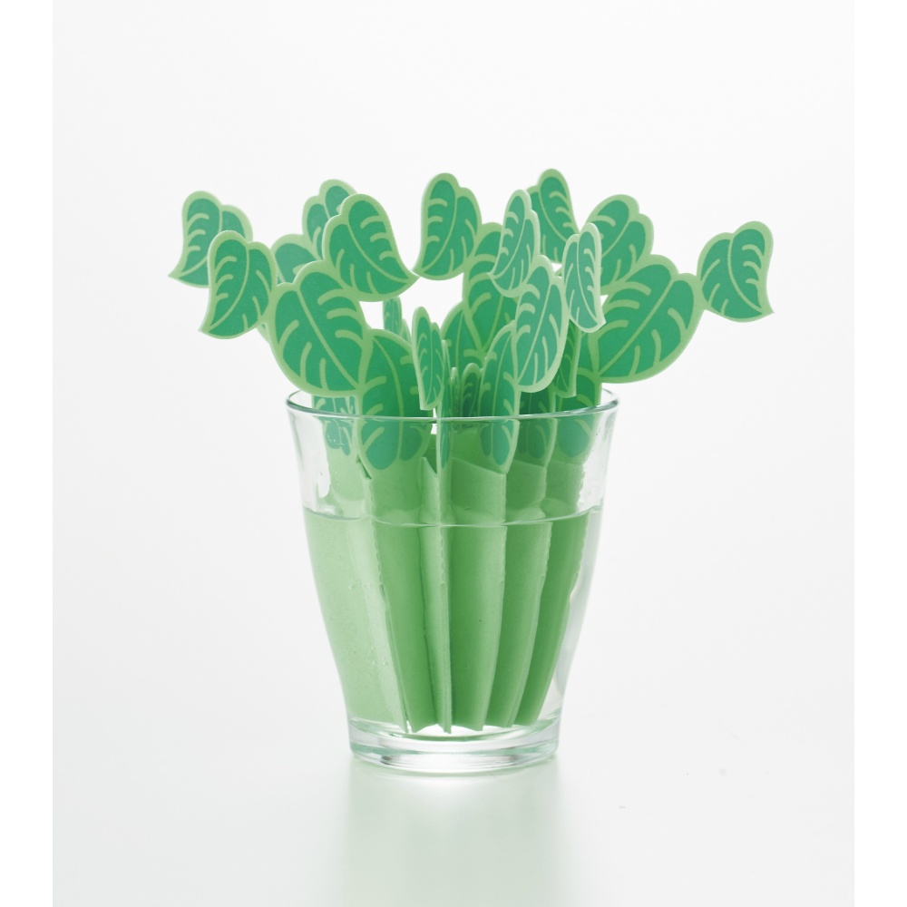 どこでもモイスチャーモンステラ