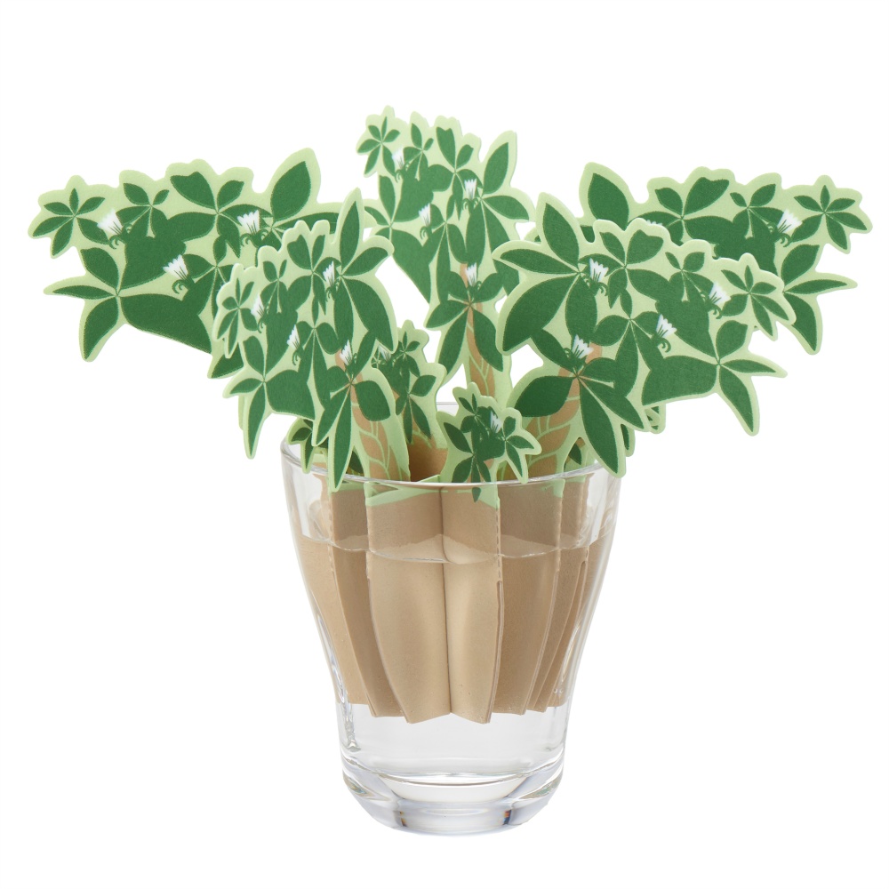 どこでもモイスチャーパキラ