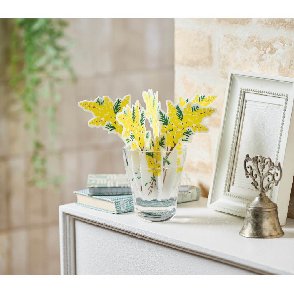 どこでもモイスチャーミモザ