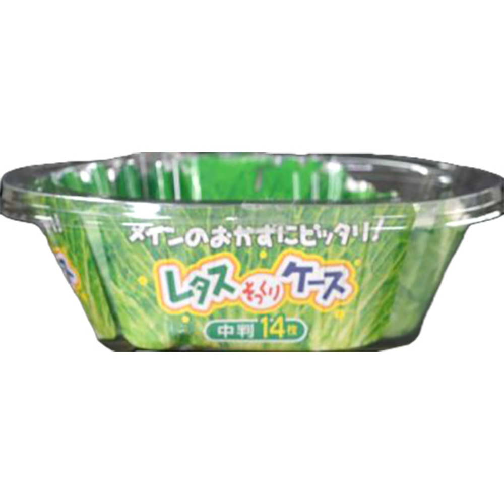 レタスケース（中判）