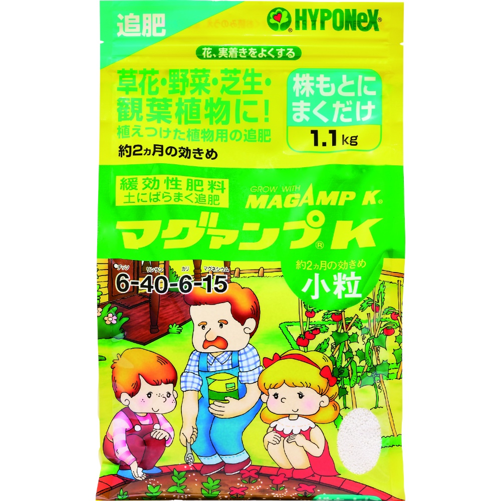 マグァンプＫ小粒