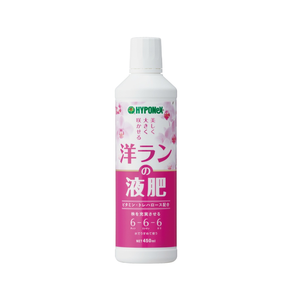 洋ランの液肥