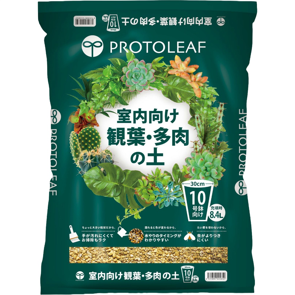 室内向け観葉・多肉の土１０号鉢用