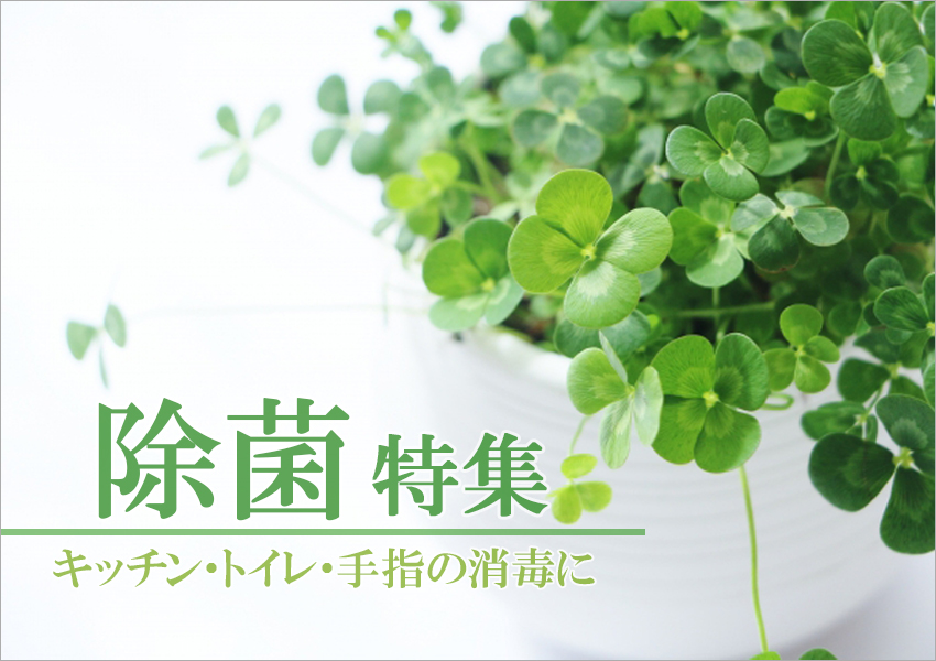 除菌特集