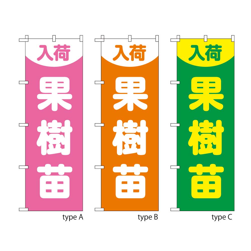 果樹苗入荷
