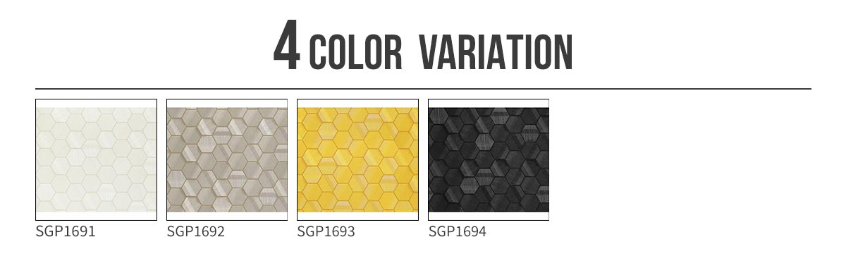 AUTOMOBILI LAMBORGHINI Dis Esagono Murcielago カラー