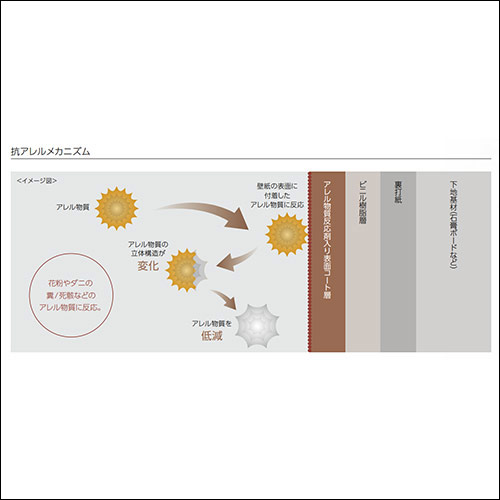 抗アレルメカニズム