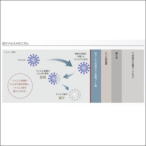 抗ウイルスメカニズム
