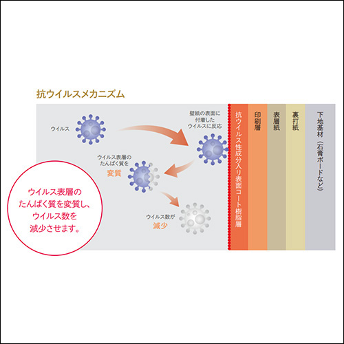 抗ウイルスメカニズム
