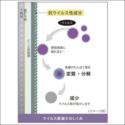 ウイルス数減少のしくみ