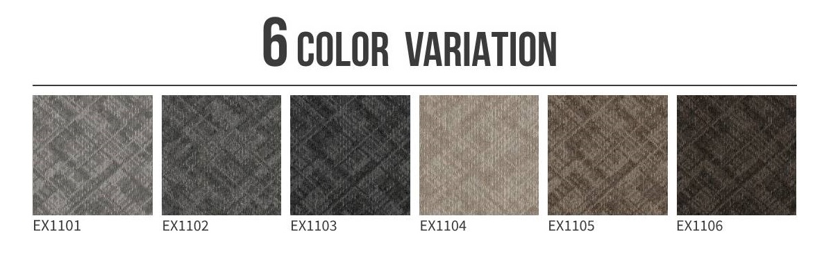 ECOS NEO EX-1100カラー