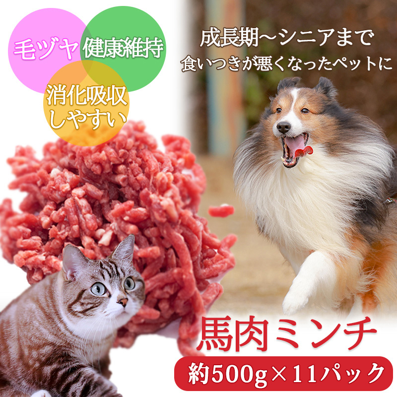 ペット用 馬肉ミンチ 約500g×11パック