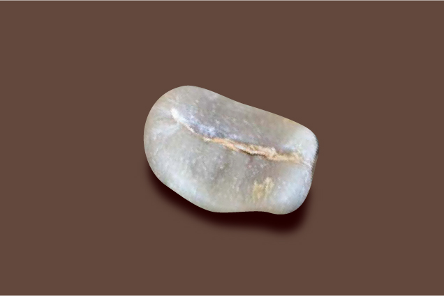 コスタリカ/サンタバルバラ