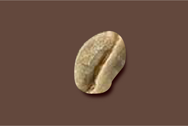 ケニア/カムワンギファクトリー