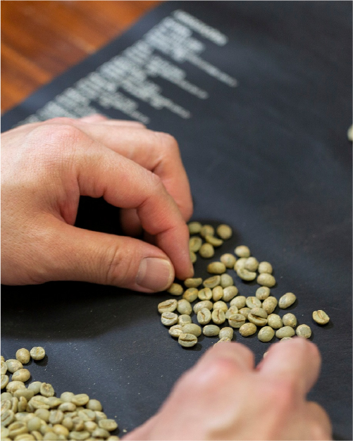 生豆のグレーディング