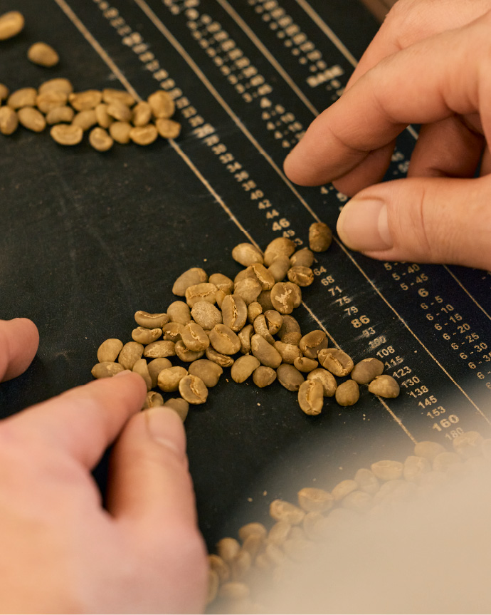 生豆のグレーディング