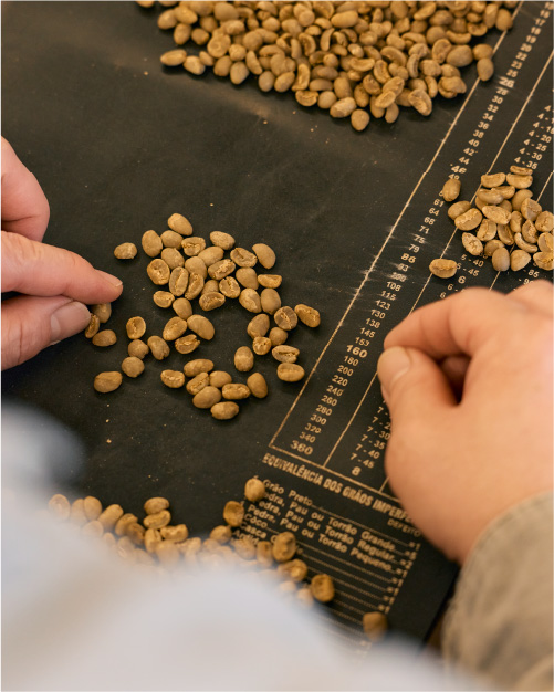 グレーディング