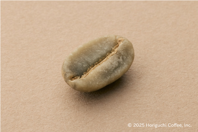 グァテマラ・アンティグア「ラス・ヌーベス」