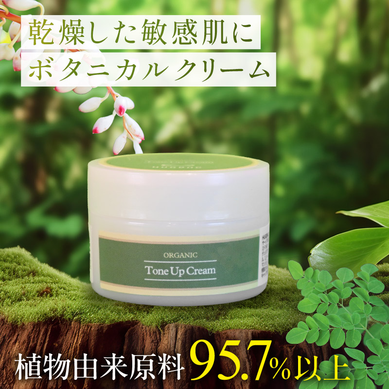HUGBNC トーンアップクリーム CPHUG41189