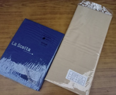 無地ｶﾗｰﾋﾟﾛｹｰｽ