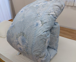 ☆西川D85%1.7㎏立体ｷﾙﾄ羽毛掛布団 DL