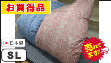 ★WDD90%1.1㎏羽毛掛布団