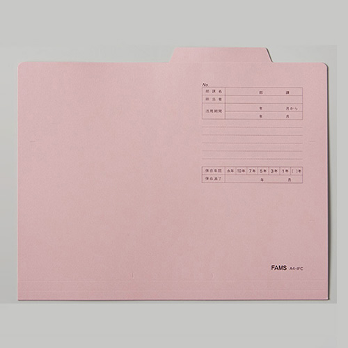 ＦＡＭＳ　２１９０９４　個別フォルダー