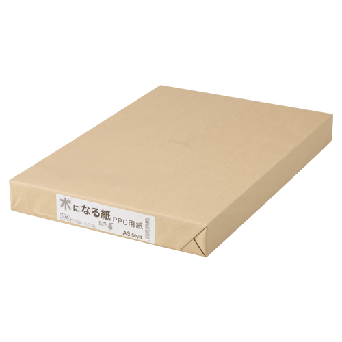 ファイル　キ－Ａ３　木になる紙　ＰＰＣ用紙×３冊