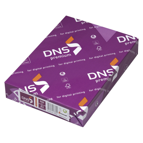 伊東屋　ＤＮＳ５０５　ＤＮＳ　ｐｒｅｍｉｕｍＡ４　２５０ｇ／箱