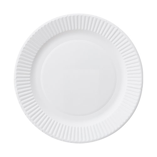 サンナップ　Ｔ－５ＳＮＰ　ペーパープレート