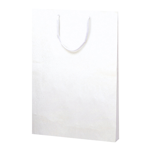 ササガワ　５０－６８００　手提げ　額縁用