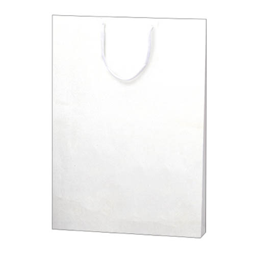 ササガワ　５０－６９００　手提げ　額縁用