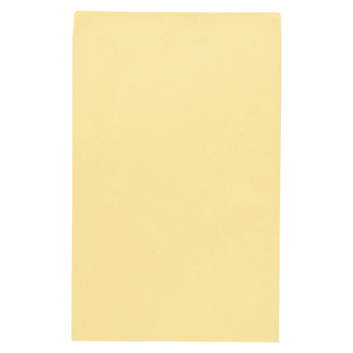 寿堂　０３８６５　大型封筒Ａ３マチ付テープ付１０枚