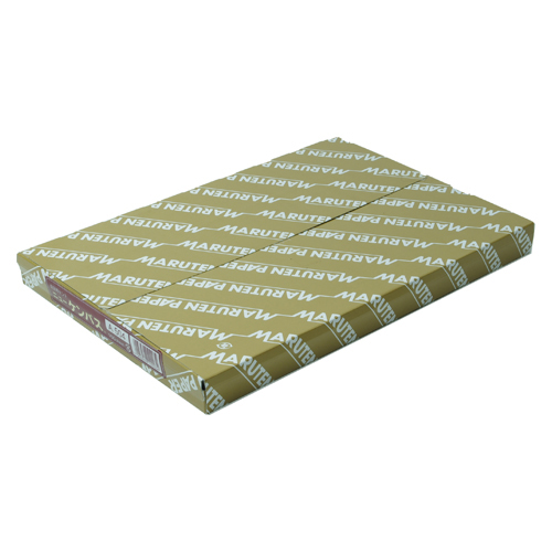 ゴークラ　Ａ５０４　ニューケンパス　厚口　Ａ４　１００枚