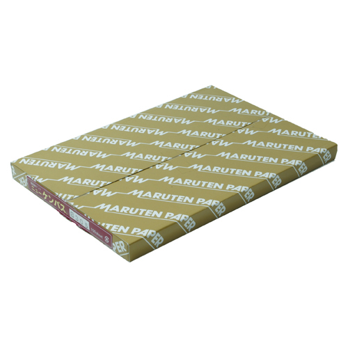 ゴークラ　Ｂ３０５　ニューケンパス　薄口　Ｂ５　１００枚