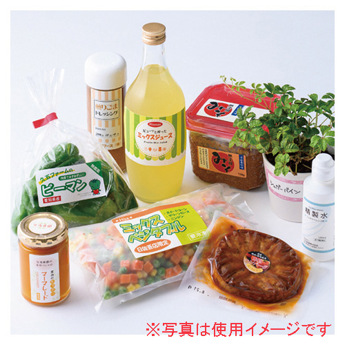 ヒサゴ　ＯＰＷ８６１　撥水紙ラベルＡ４　１２面