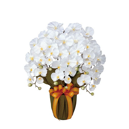 エヌケイ　ＧＦ－ＣＣ５００　人工植物　胡蝶蘭