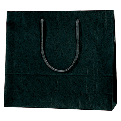 シモジマ　００５３２０１１４　カラーＣＢ　３才　黒