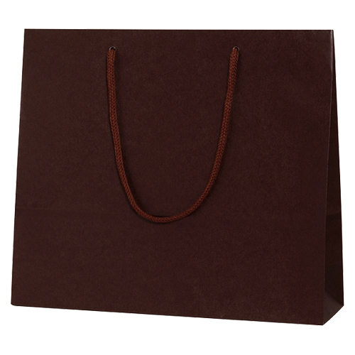 シモジマ　００５３２０１１５　カラーＣＢ　３才　ブラウン